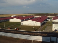 Свиноводческий комплекс. Рязанская область